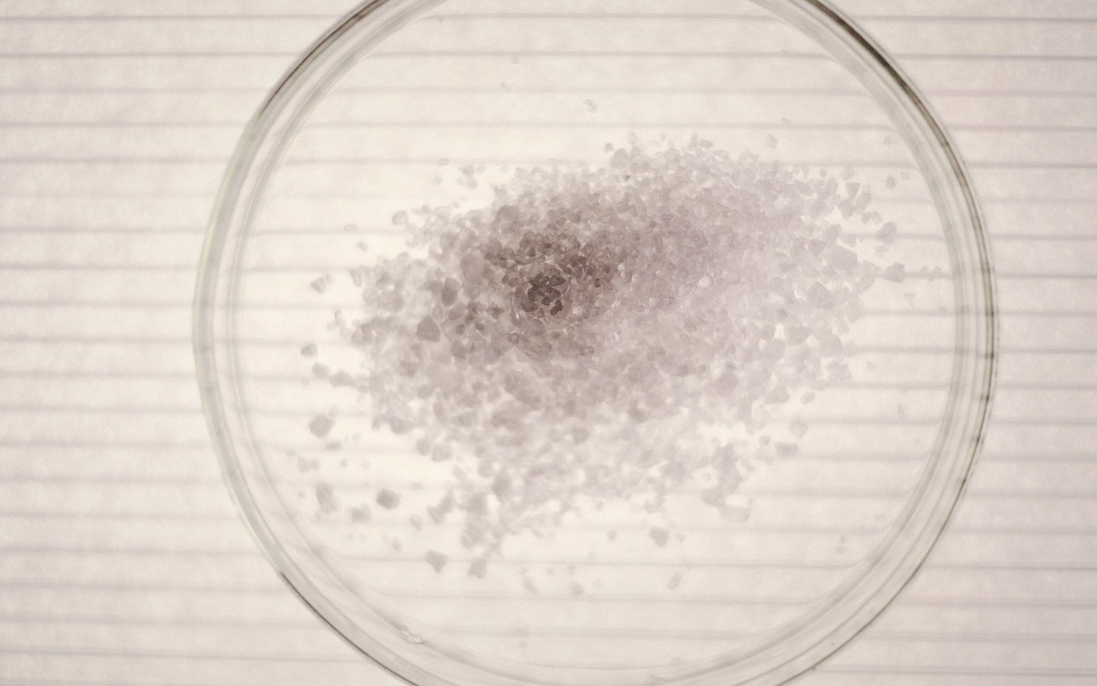 Coarse white crystals piled in a glass petri dish on lined paper