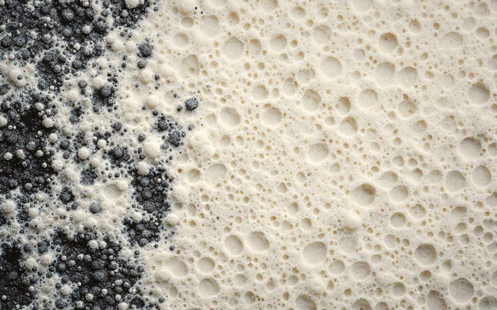 Close-up of bubbly white foam meeting dark charcoal-colored sediment on a surface